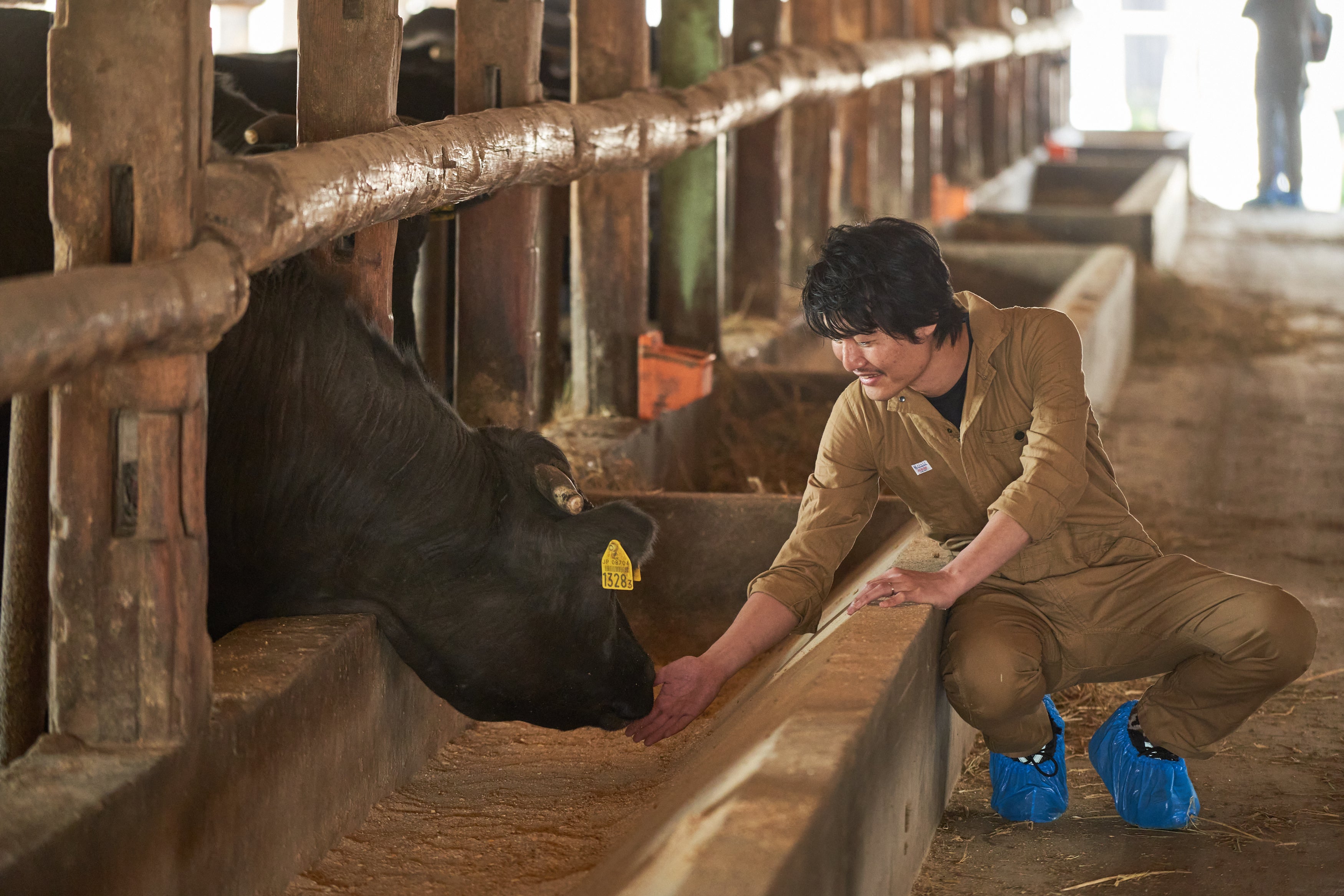 赤城牛に辿り着いた経緯