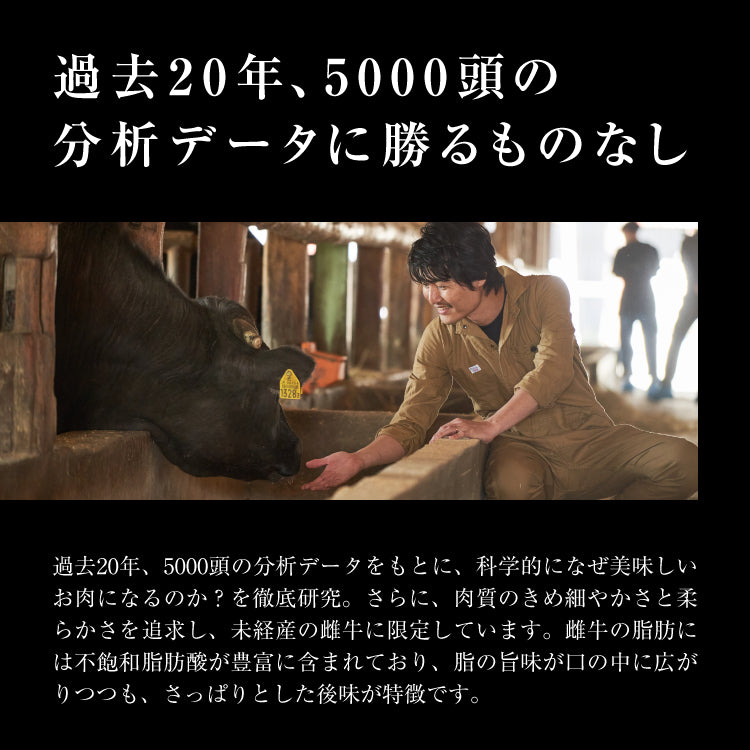 濃厚ミートパイと赤城肉の贅沢ペアリング(P1)