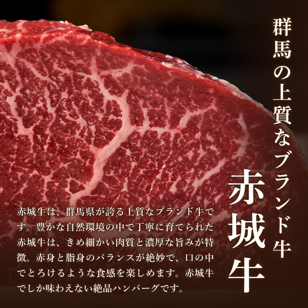 赤城ハンバーグ (単品)※簡易包装